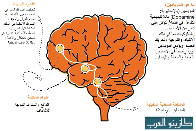 علم النفس في ألعاب الكازينو اون لاين