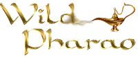 للدخول إلى الكازينو