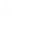 Dolfwin